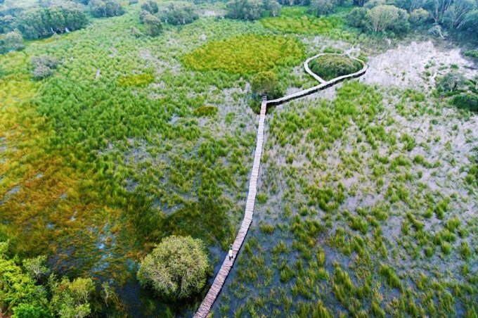 Cánh đồng